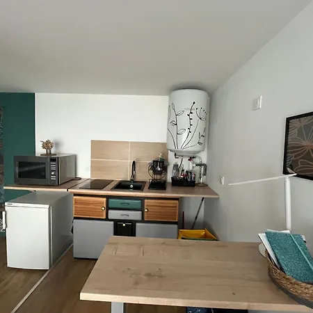 Mon Petit Cocon Auvergnat Lägenhet Combronde